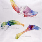 Proposal DrawingsStrong Museum of Play