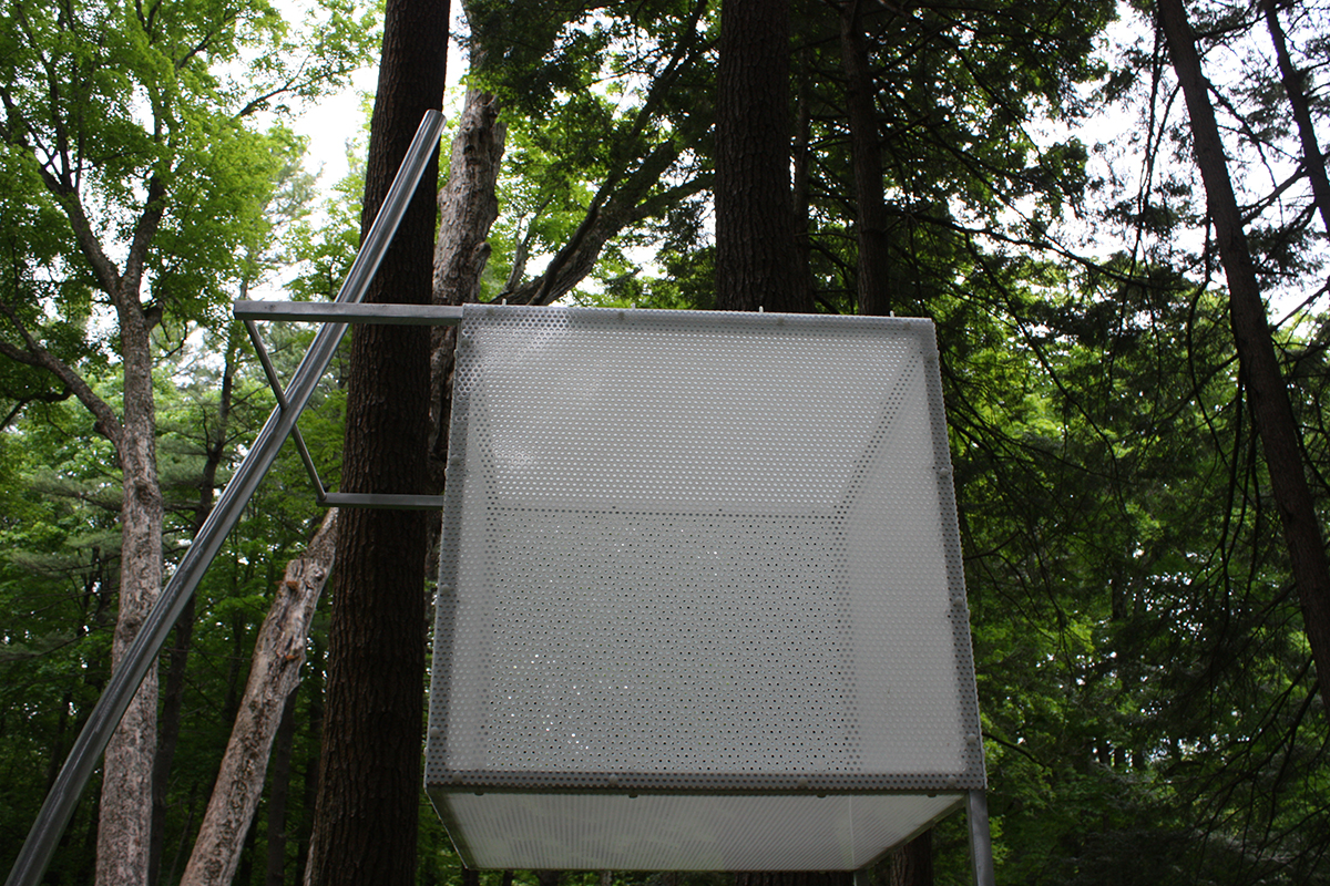 Strongarmed #2, DetailThe Mount, Lenox, MA