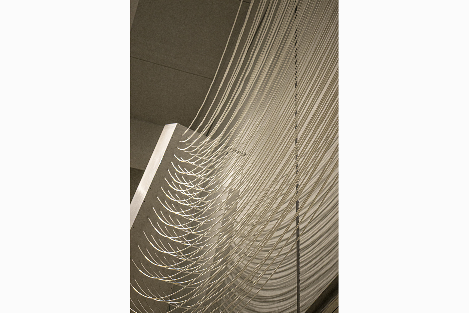 Linear Compression, Detail 2