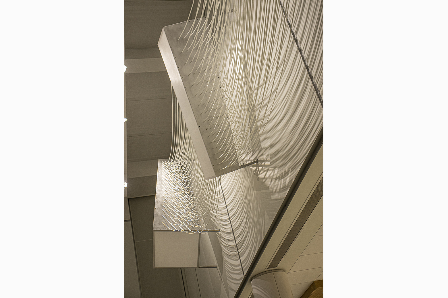 Linear Compression, Detail 3