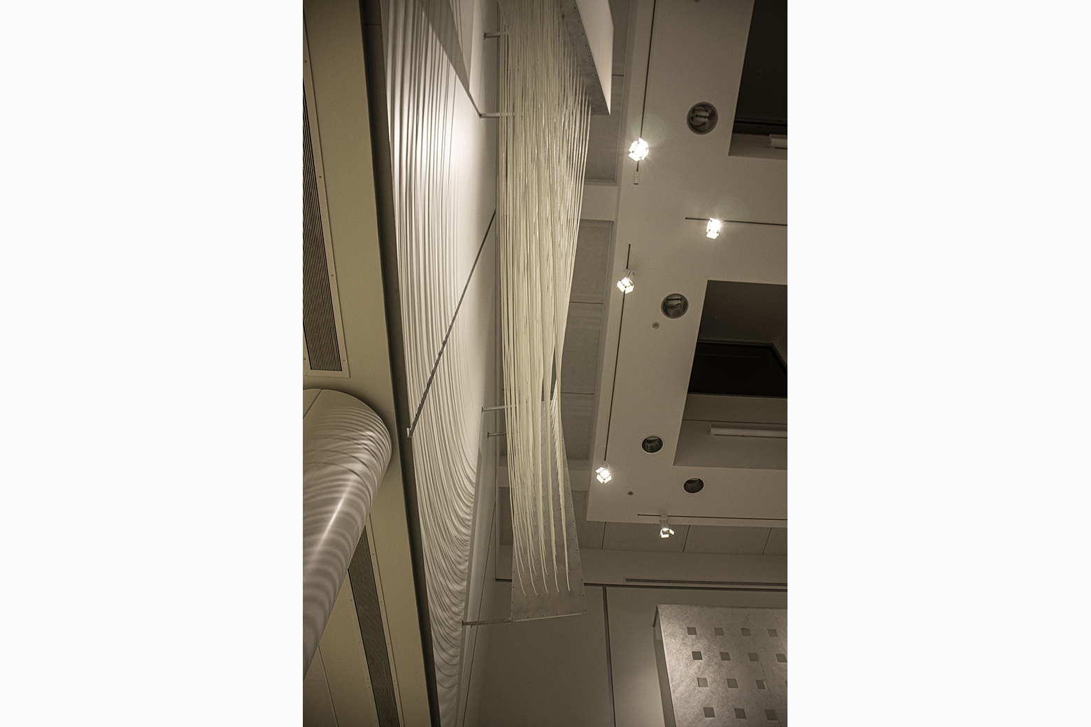 Linear CompressionDetail 4