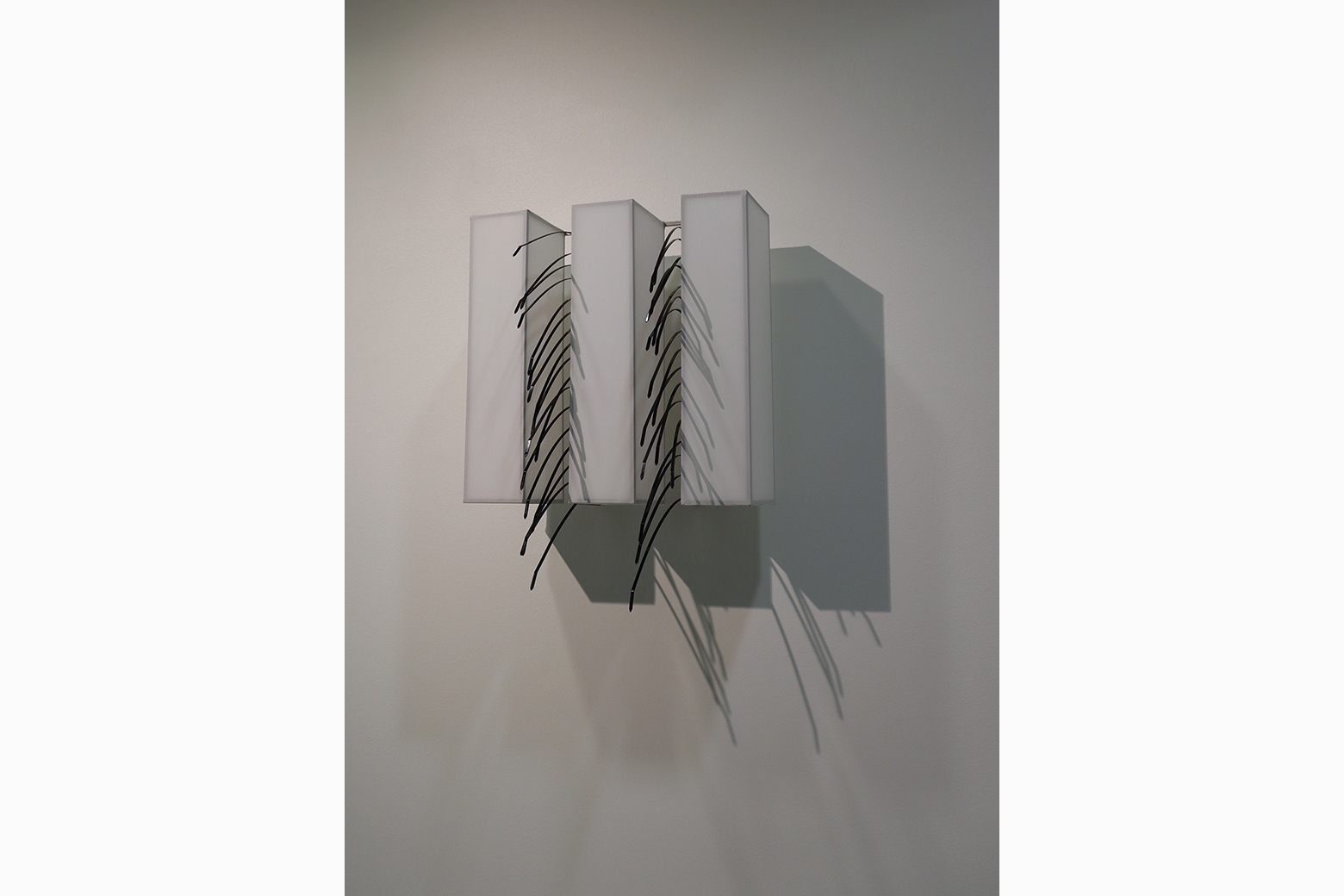 Ties That Separate #2