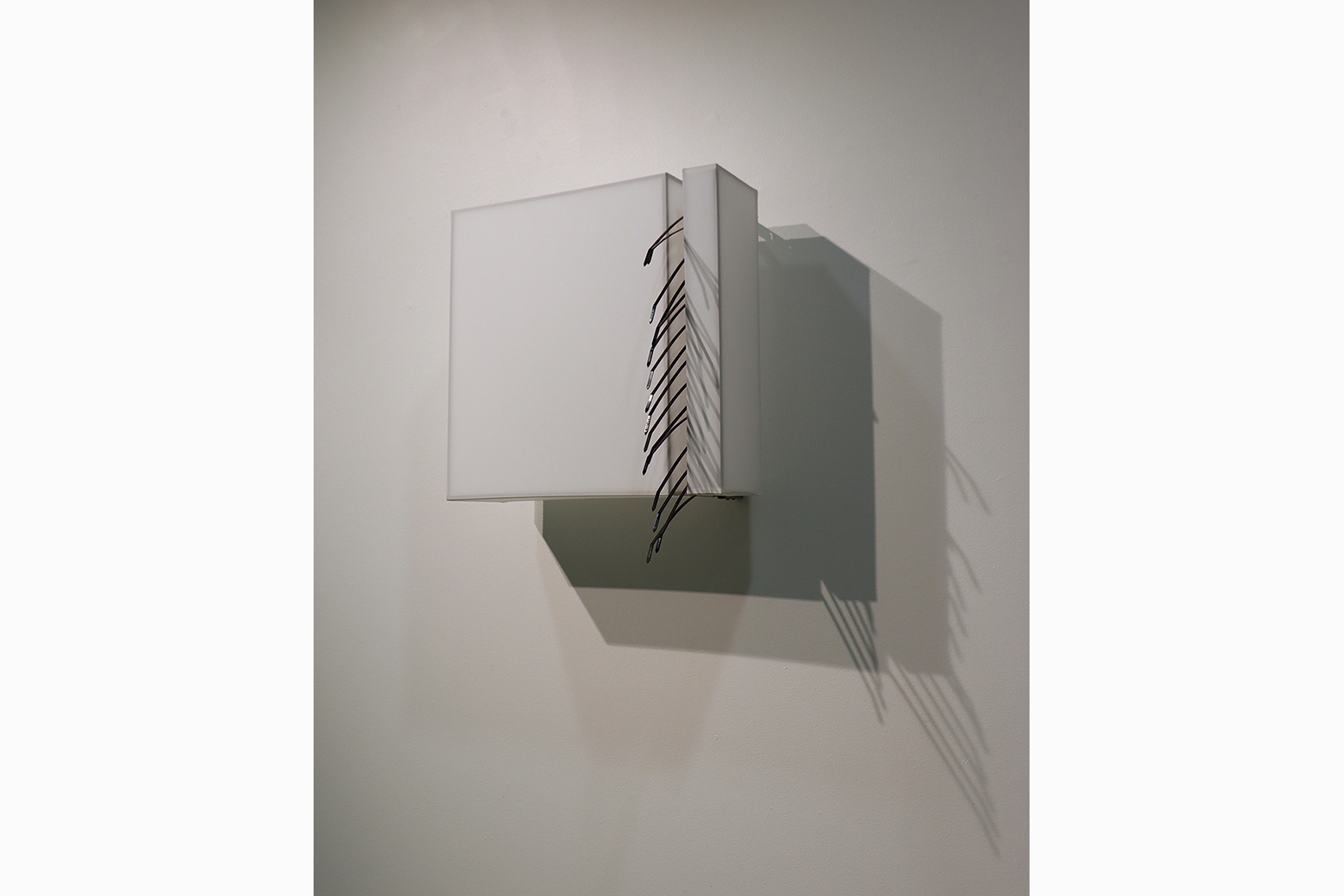 Ties That Separate #3