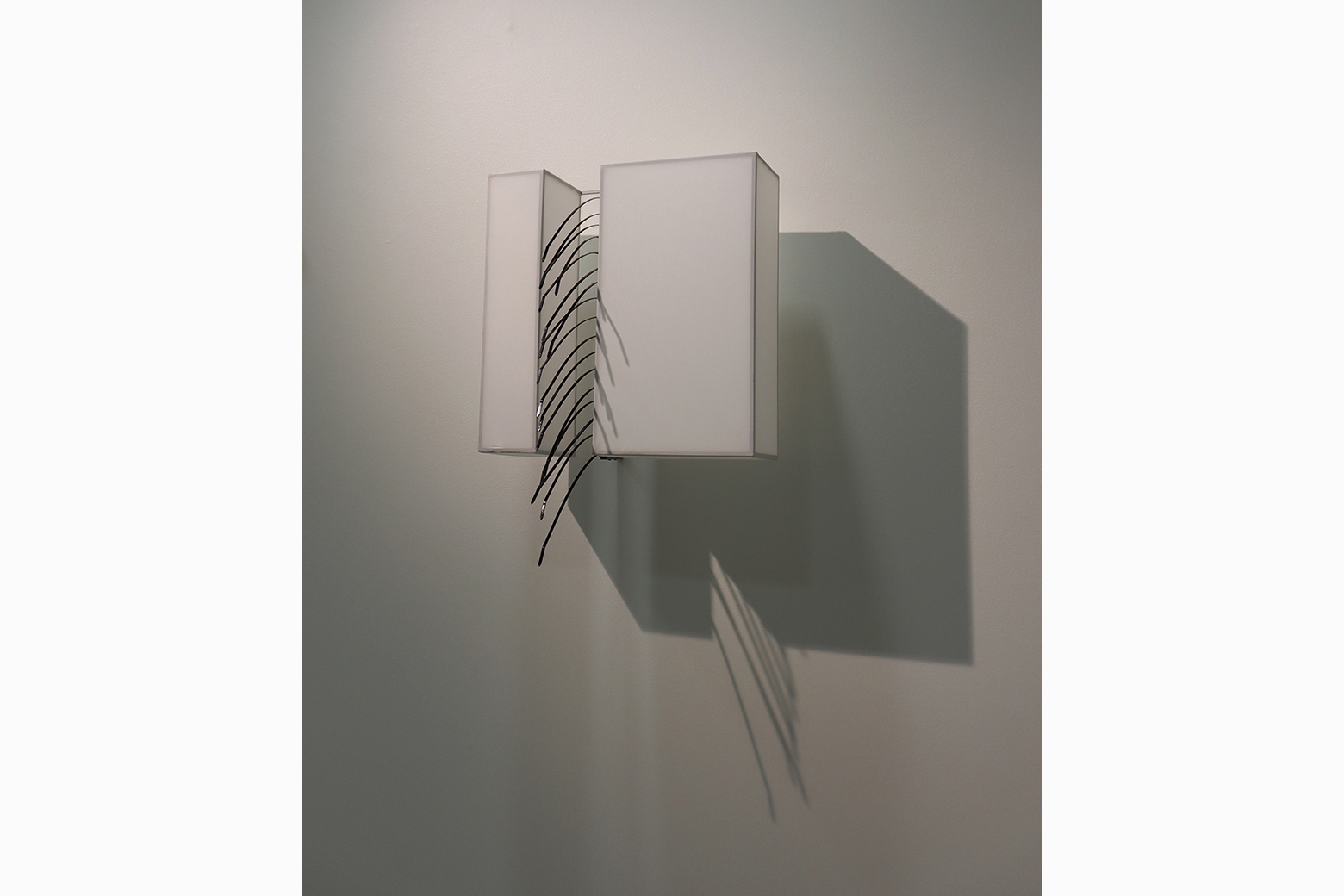 Ties That Separate #4, View 2