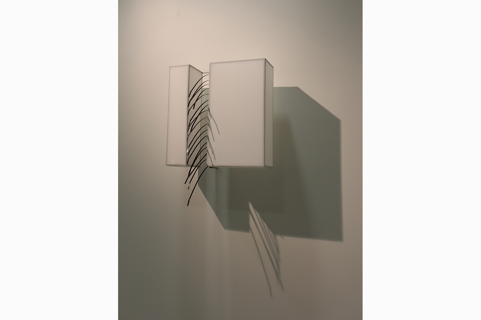 Ties That Separate #4