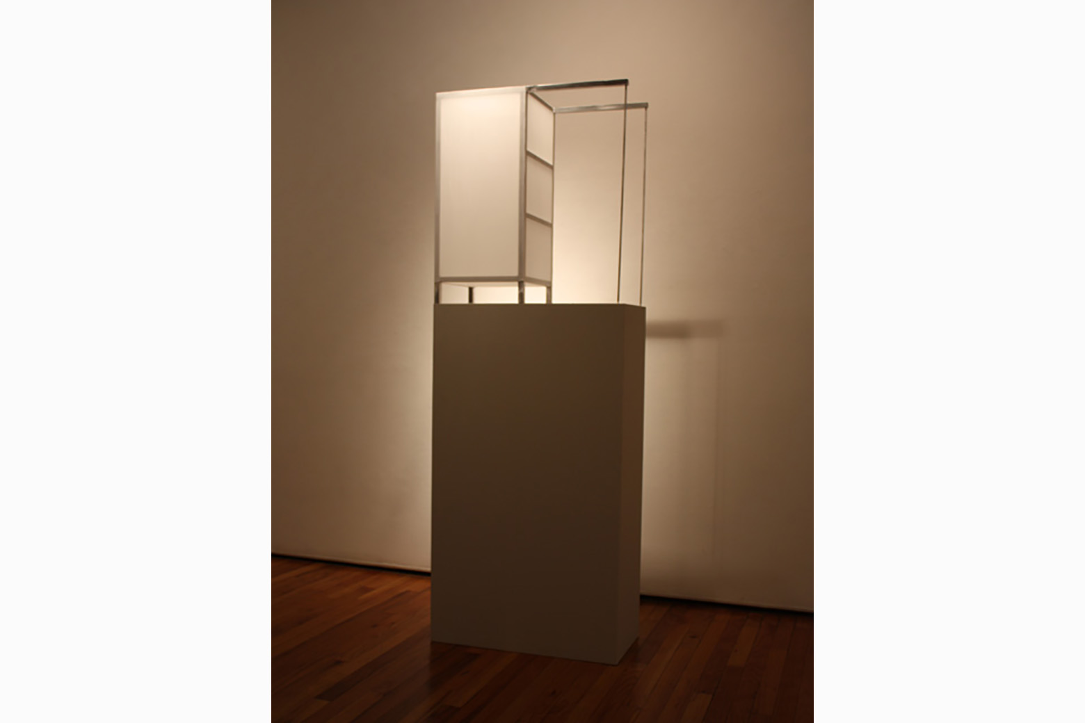 Compartmentalized30”h x 24.75”w x 12”d on 48” Pedestal